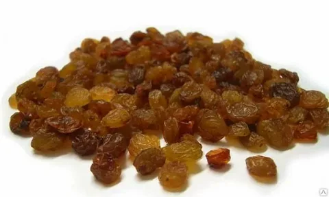 تصویر 5 از قیمت عالی + فروش ویژه کشمش پلویی آفتابی